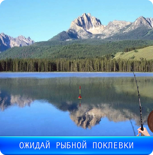 About Fish Rain Sport Fishing